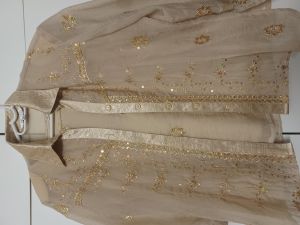 Adult Female Costumes to Hire - Gold top & shirt - Ladies 